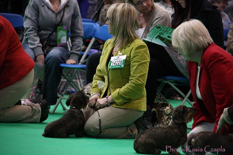 Crufts2011_2 1625.jpg